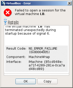 5c0cf0b76a75e_VirtualBox-newvm-failtostart.thumb.png.196d03e693419642cccc0f5d596fbe64.png