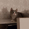 Ruslan82